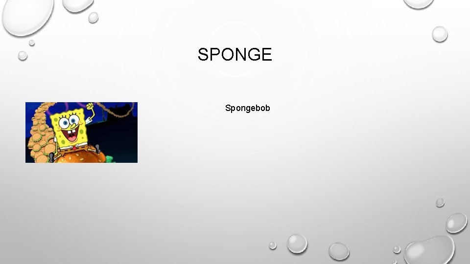 SPONGE Spongebob 