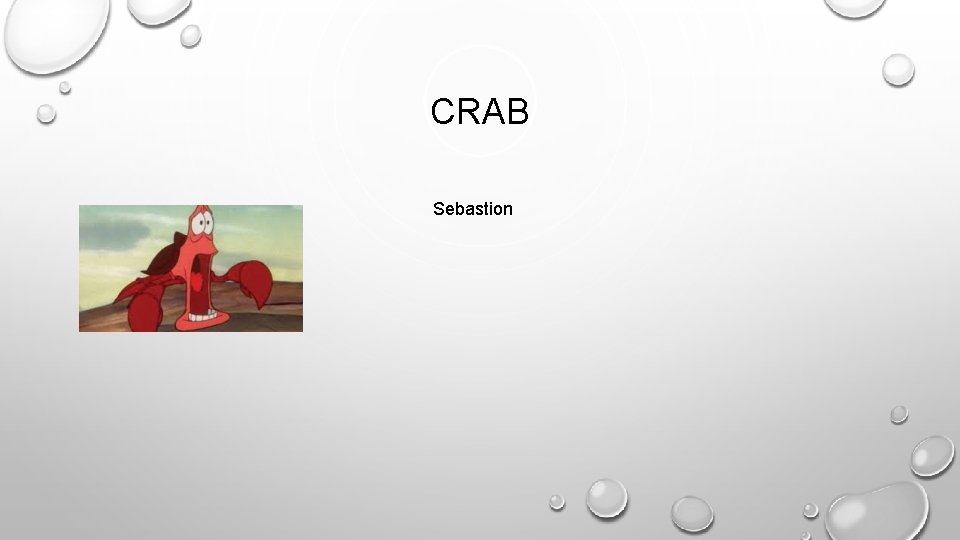 CRAB Sebastion 