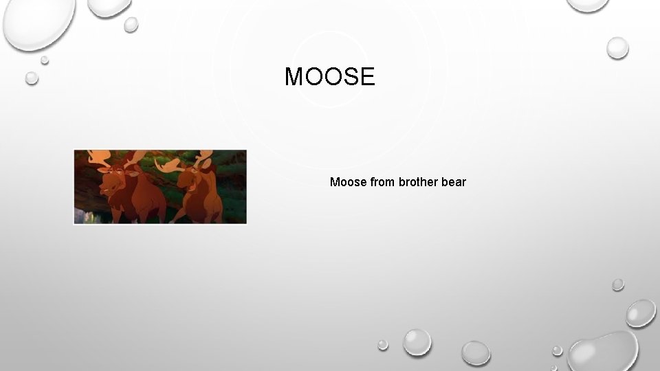 MOOSE Moose from brother bear 