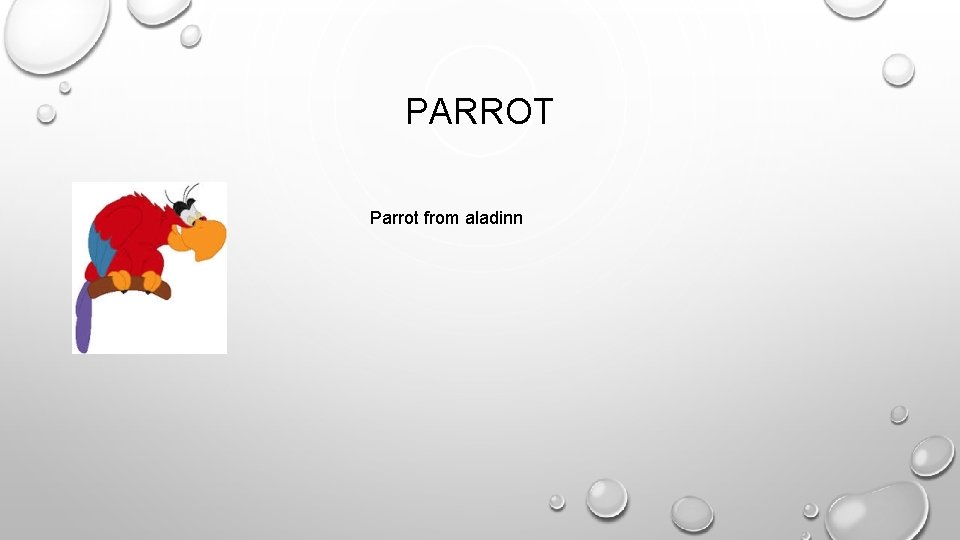 PARROT Parrot from aladinn 