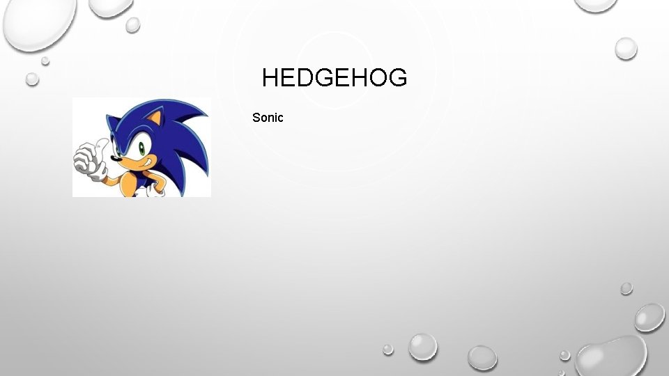 HEDGEHOG Sonic 