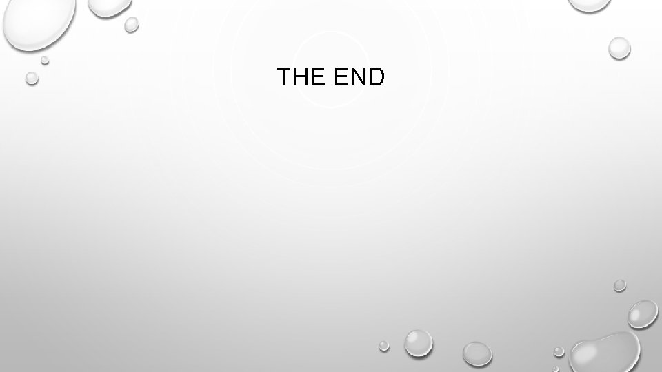THE END 