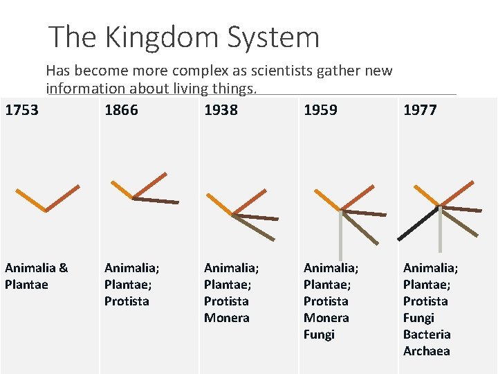 The Kingdom System Has become more complex as scientists gather new information about living