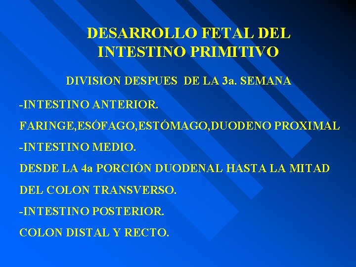 DESARROLLO FETAL DEL INTESTINO PRIMITIVO DIVISION DESPUES DE LA 3 a. SEMANA -INTESTINO ANTERIOR.