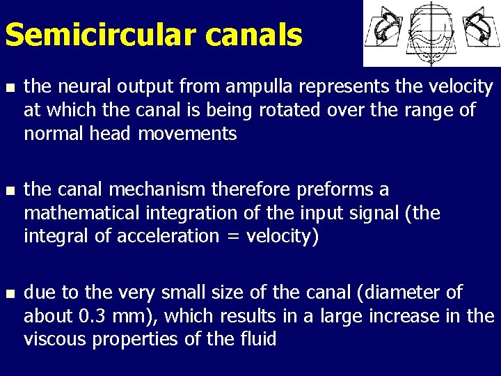 Semicircular canals n the neural output from ampulla represents the velocity at which the Semicircular canals n the neural output from ampulla represents the velocity at which the
