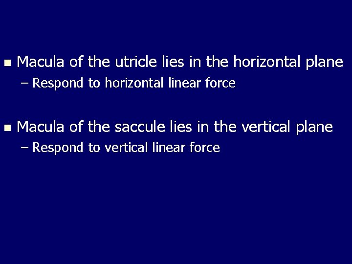 n Macula of the utricle lies in the horizontal plane – Respond to horizontal n Macula of the utricle lies in the horizontal plane – Respond to horizontal