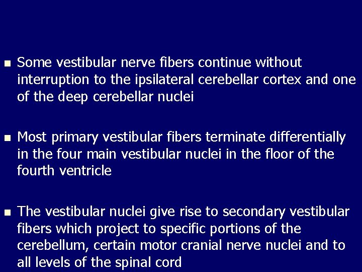 n Some vestibular nerve fibers continue without interruption to the ipsilateral cerebellar cortex and n Some vestibular nerve fibers continue without interruption to the ipsilateral cerebellar cortex and