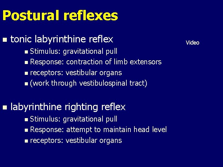 Postural reflexes n tonic labyrinthine reflex n Stimulus: gravitational pull n Response: contraction of Postural reflexes n tonic labyrinthine reflex n Stimulus: gravitational pull n Response: contraction of