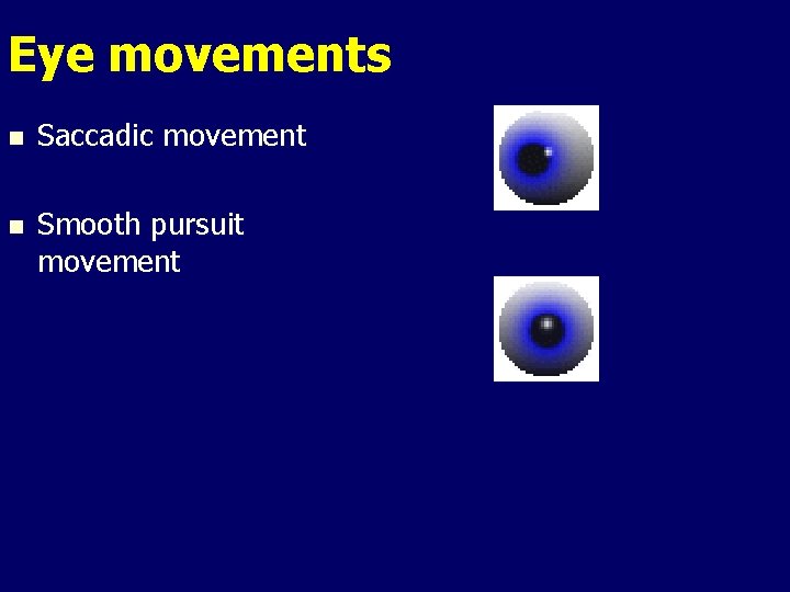 Eye movements n Saccadic movement n Smooth pursuit movement Eye movements n Saccadic movement n Smooth pursuit movement
