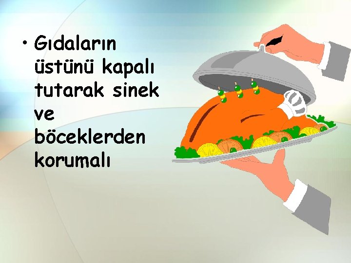  • Gıdaların üstünü kapalı tutarak sinek ve böceklerden korumalı 