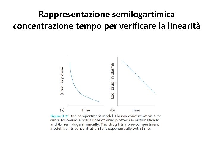 Rappresentazione semilogartimica concentrazione tempo per verificare la linearità 