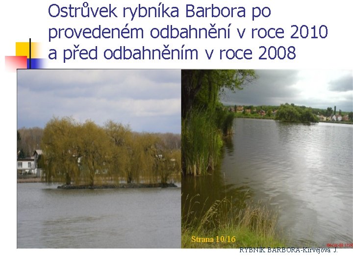 Ostrůvek rybníka Barbora po provedeném odbahnění v roce 2010 a před odbahněním v roce