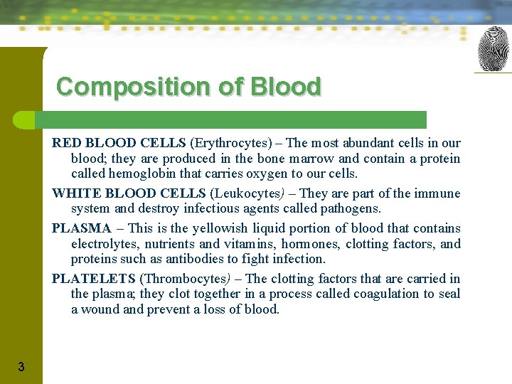 Composition of Blood RED BLOOD CELLS (Erythrocytes) – The most abundant cells in our