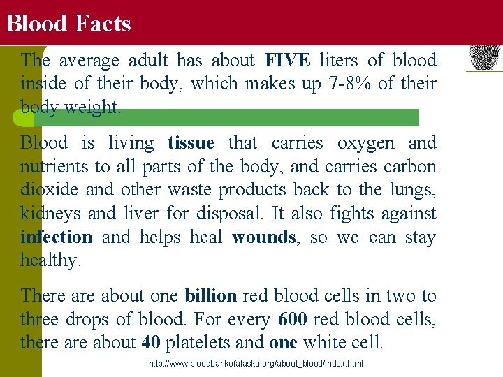 Blood Facts The average adult has about FIVE liters of blood inside of their