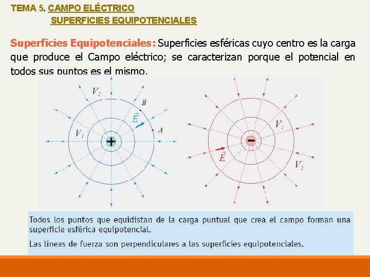 TEMA 5. CAMPO ELÉCTRICO SUPERFICIES EQUIPOTENCIALES Superficies Equipotenciales: Superficies esféricas cuyo centro es la