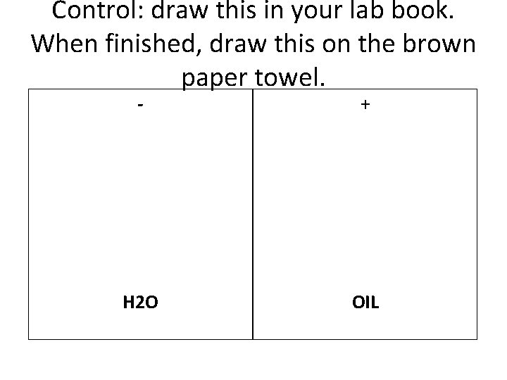 Control: draw this in your lab book. When finished, draw this on the brown