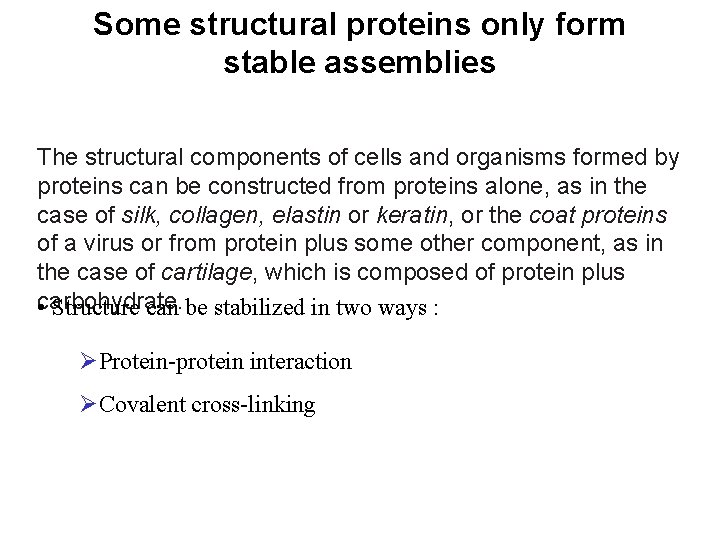 Some structural proteins only form stable assemblies The structural components of cells and organisms