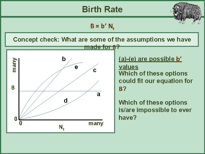 Birth Rate B = b’ Nt Concept check: What are some of the assumptions