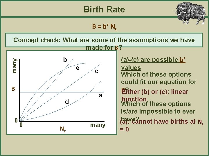Birth Rate B = b’ Nt Concept check: What are some of the assumptions
