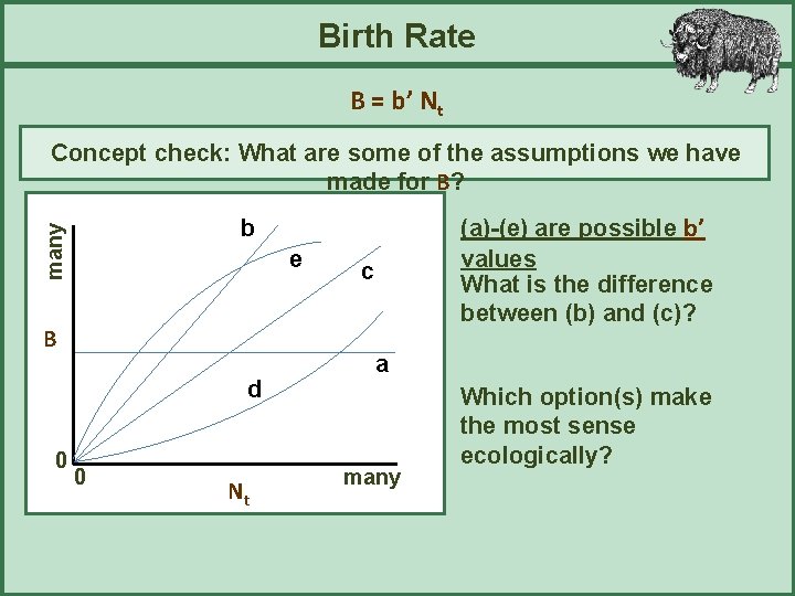 Birth Rate B = b’ Nt Concept check: What are some of the assumptions