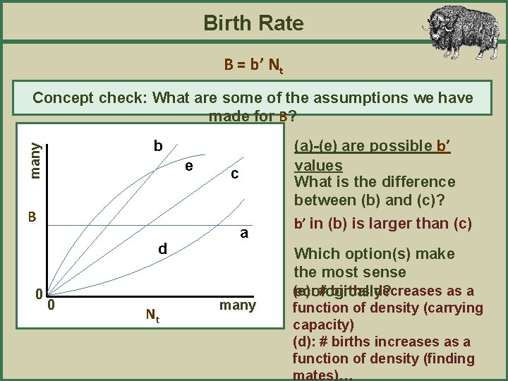 Birth Rate B = b’ Nt Concept check: What are some of the assumptions