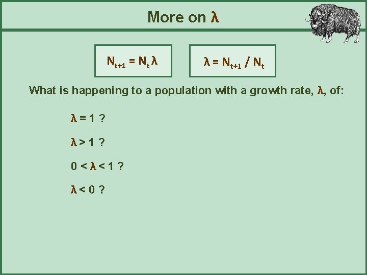 More on λ Nt+1 = Nt λ λ = Nt+1 / Nt What is