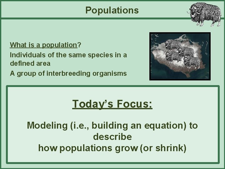 Populations What is a population? Individuals of the same species in a defined area