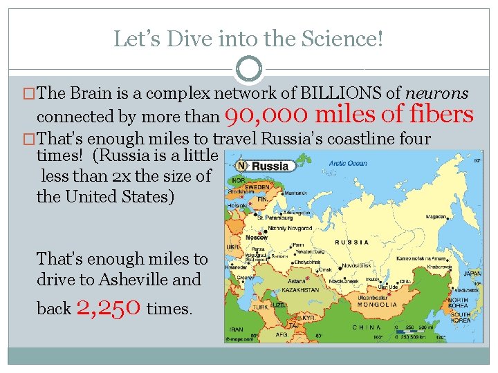 Let’s Dive into the Science! �The Brain is a complex network of BILLIONS of