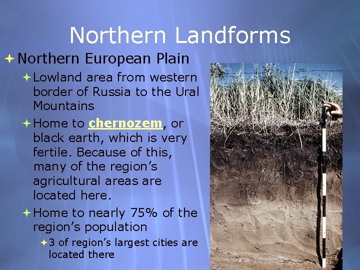 Northern Landforms Northern European Plain Lowland area from western border of Russia to the