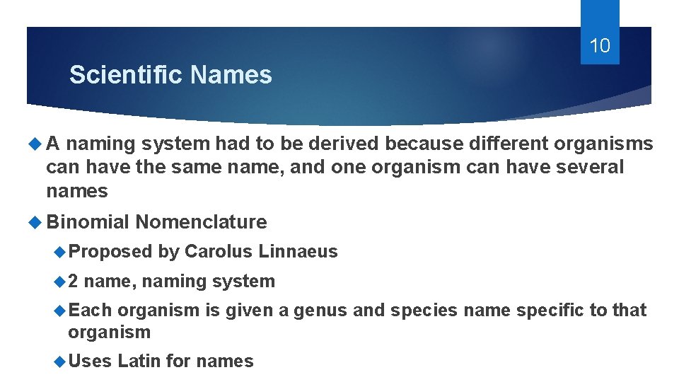 10 Scientific Names A naming system had to be derived because different organisms can