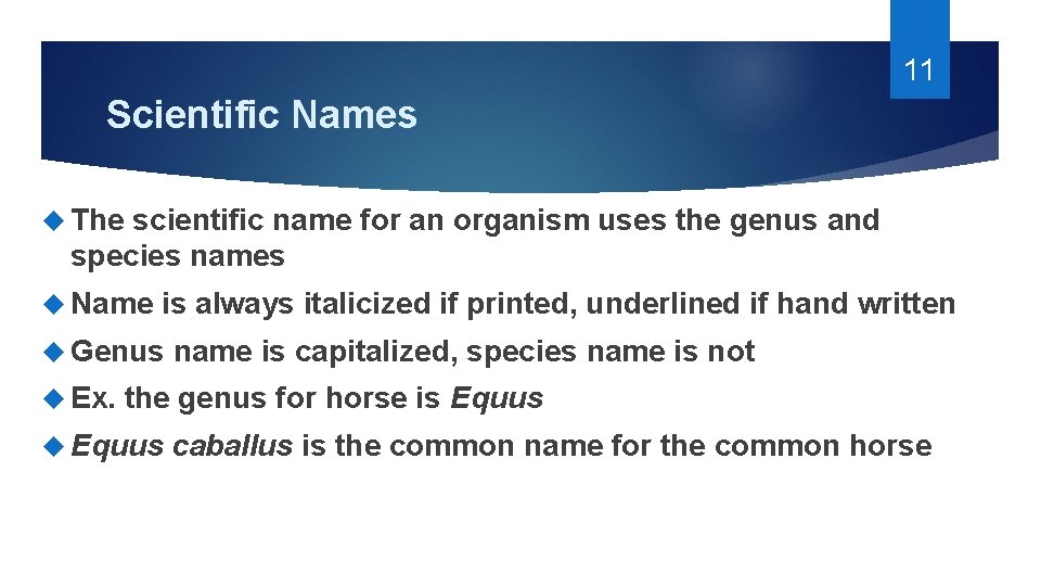 11 Scientific Names The scientific name for an organism uses the genus and species