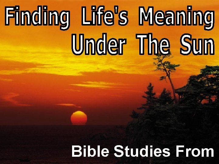 Life Under The Sun Biblical Studies In Ecclesiastes Bible Studies From 