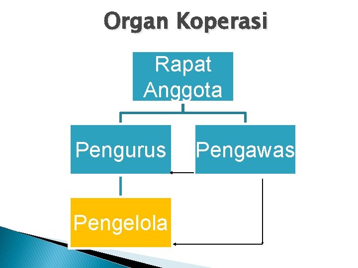 Organ Koperasi Rapat Anggota Pengurus Pengelola Pengawas 