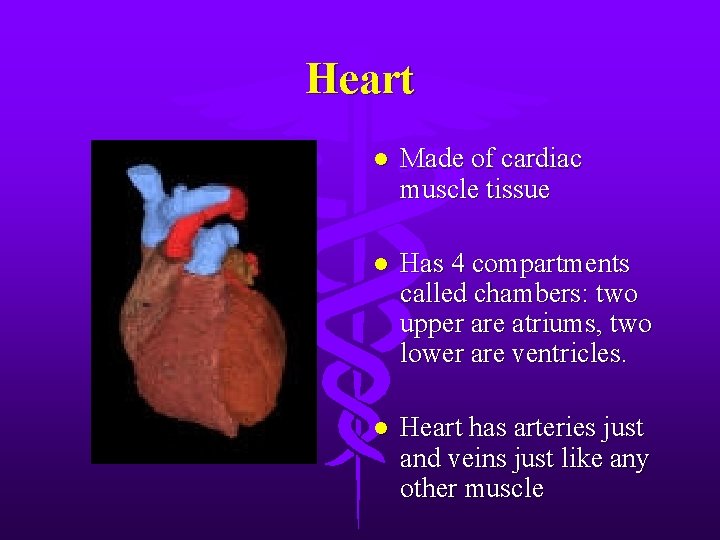 Heart l Made of cardiac muscle tissue l Has 4 compartments called chambers: two