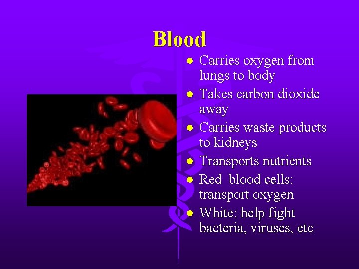 Blood l l l Carries oxygen from lungs to body Takes carbon dioxide away