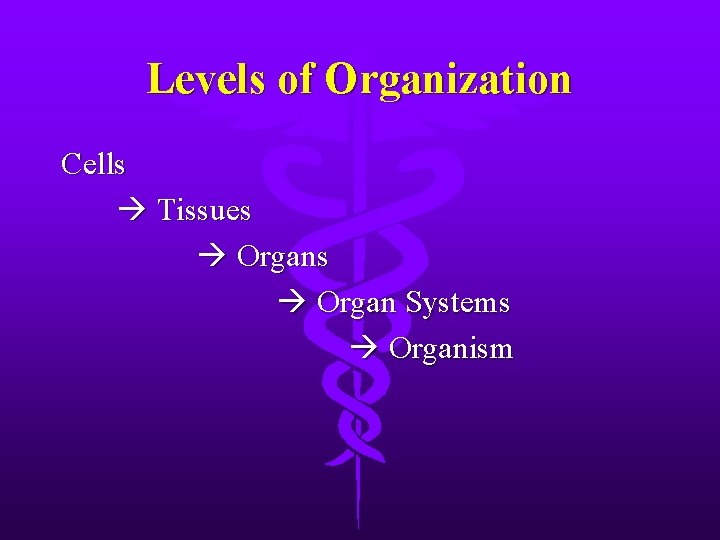 Levels of Organization Cells Tissues Organ Systems Organism 