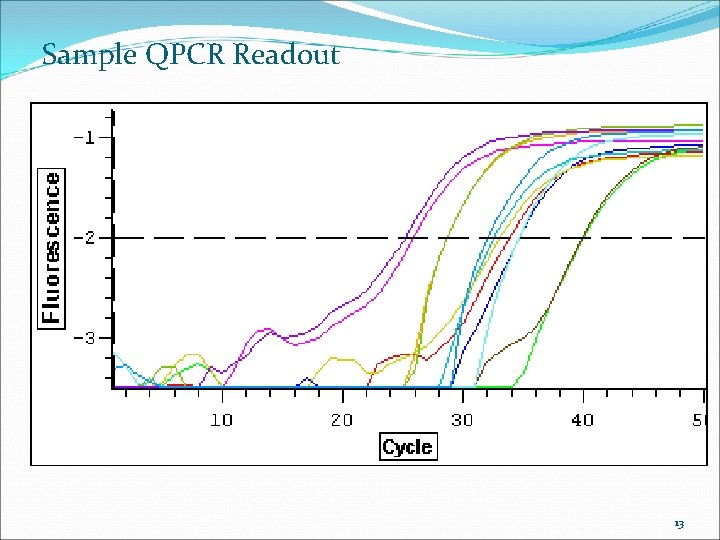Sample QPCR Readout 13 