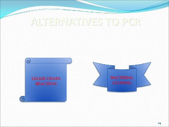 ALTERNATIVES TO PCR LIGASE CHAIN REACTION BACTERIAL CLONING 14 