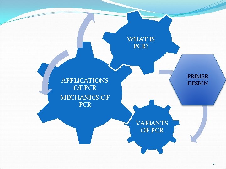 WHAT IS PCR? PRIMER DESIGN APPLICATIONS OF PCR MECHANICS OF PCR VARIANTS OF PCR
