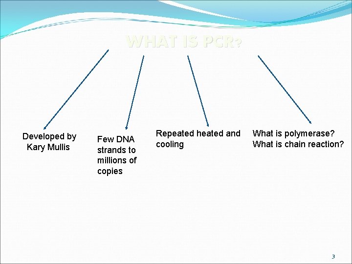 WHAT IS PCR? Developed by Kary Mullis Few DNA strands to millions of copies
