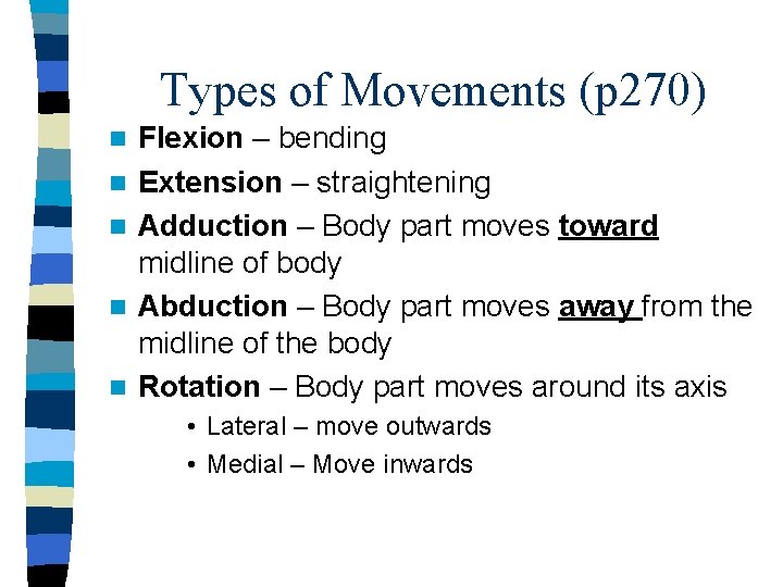 Types of Movements (p 270) n n n Flexion – bending Extension – straightening