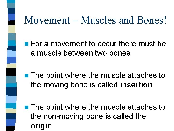 Movement – Muscles and Bones! n For a movement to occur there must be