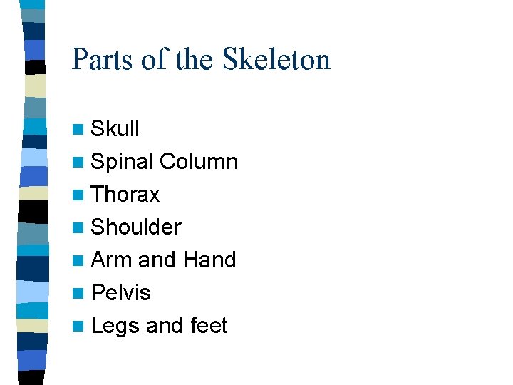 Parts of the Skeleton n Skull n Spinal Column n Thorax n Shoulder n