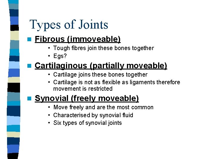 Types of Joints n Fibrous (immoveable) • Tough fibres join these bones together •