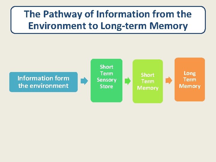 The Pathway of Information from the Environment to Long-term Memory Information form the environment