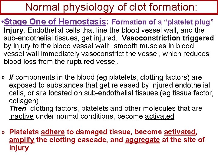 Normal physiology of clot formation: • Stage One of Hemostasis: Formation of a “platelet