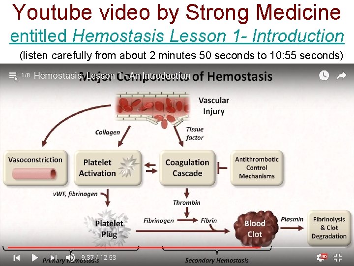 Youtube video by Strong Medicine entitled Hemostasis Lesson 1 - Introduction (listen carefully from