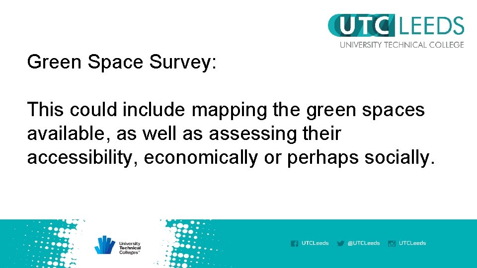 Green Space Survey: This could include mapping the green spaces available, as well as