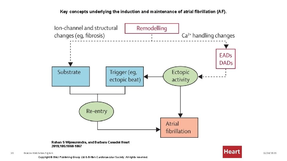 Key concepts underlying the induction and maintenance of atrial fibrillation (AF). Rohan S Wijesurendra,