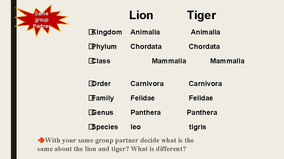 Same group Partner Lion Tiger �Kingdom Animalia �Phylum Chordata �Class Mammalia �Order Carnivora �Family